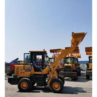 Chinese SHYTGER  Loader For Sale 916